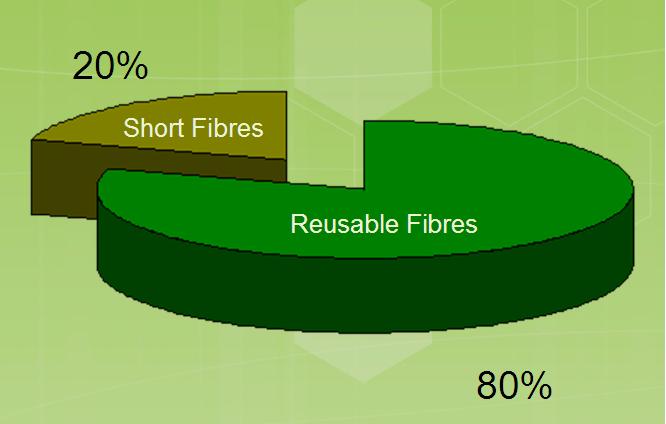 Short fibres.jpg