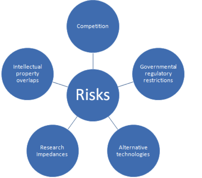Risks.png